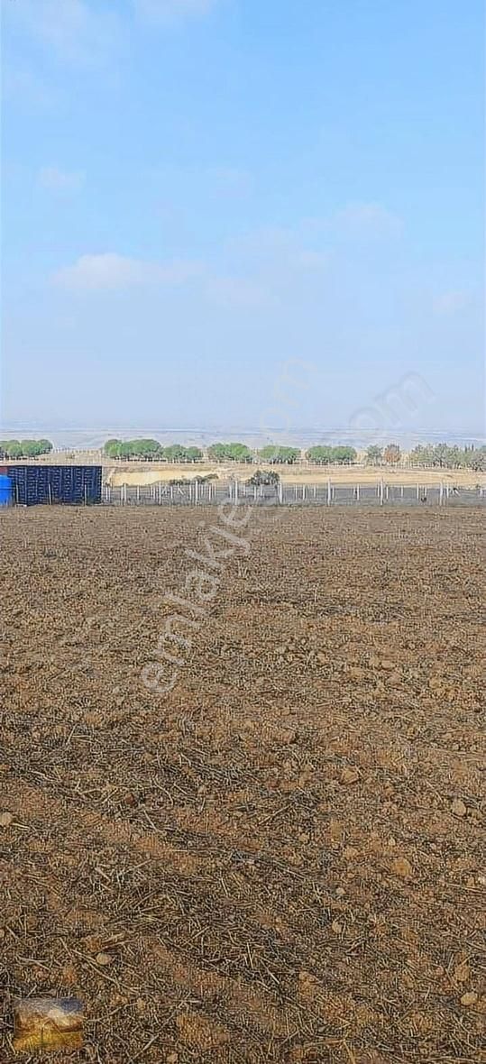 İstanbul Silivri Değirmenköy Sahibinden Satılık 350m2 - Görsel 4