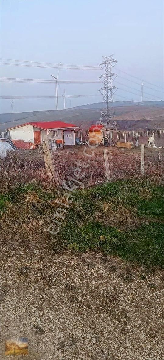 İstanbul Silivri Fenerköy Satılık 340m2 Satılık Tarla - Görsel 2