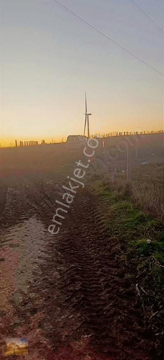 İstanbul Silivri Fenerköy Satılık 340m2 Satılık Tarla - Görsel 5