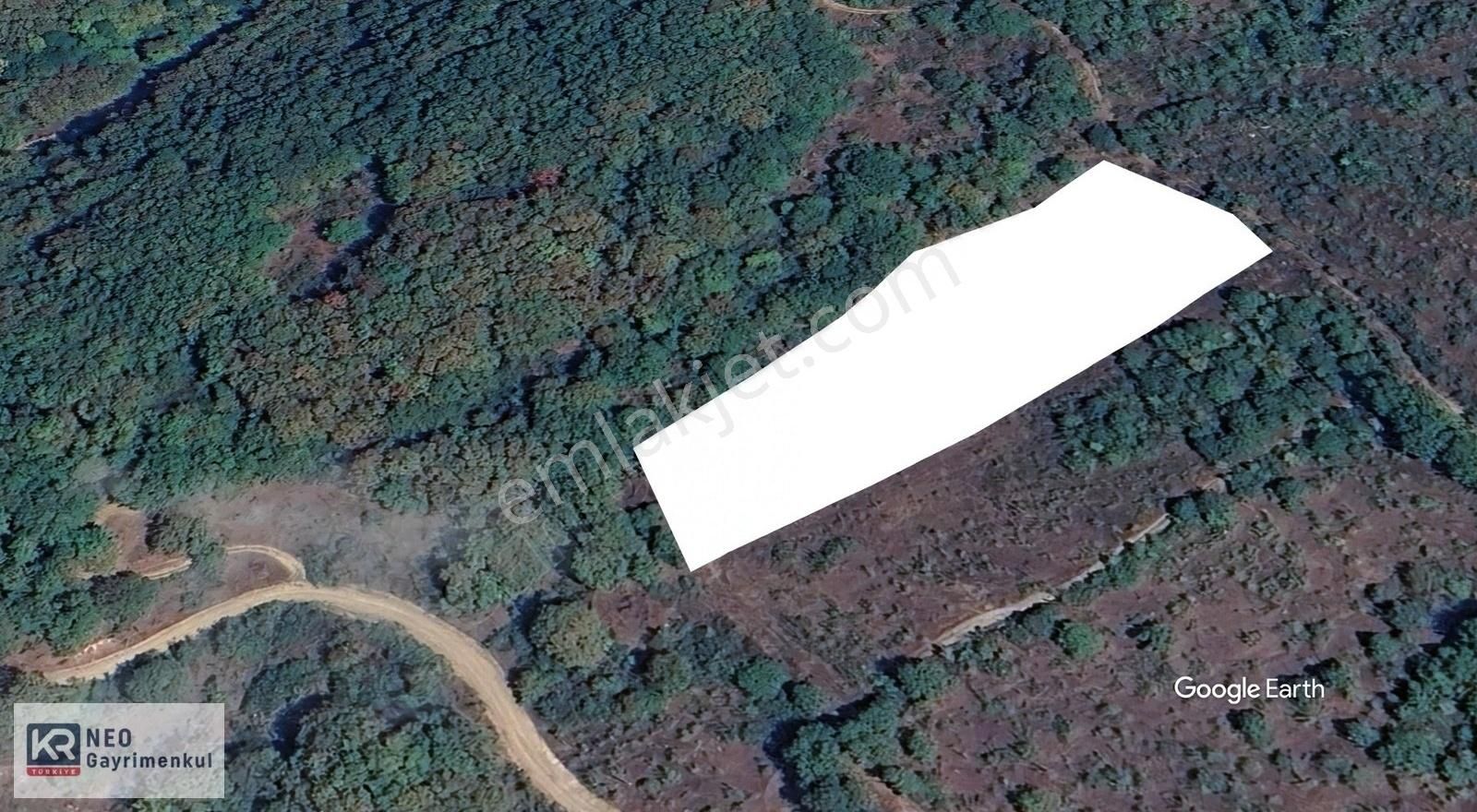 Bursa Mustafakemalpaşa'da Yatırımlık 6.300 M² Fırsat Arazi