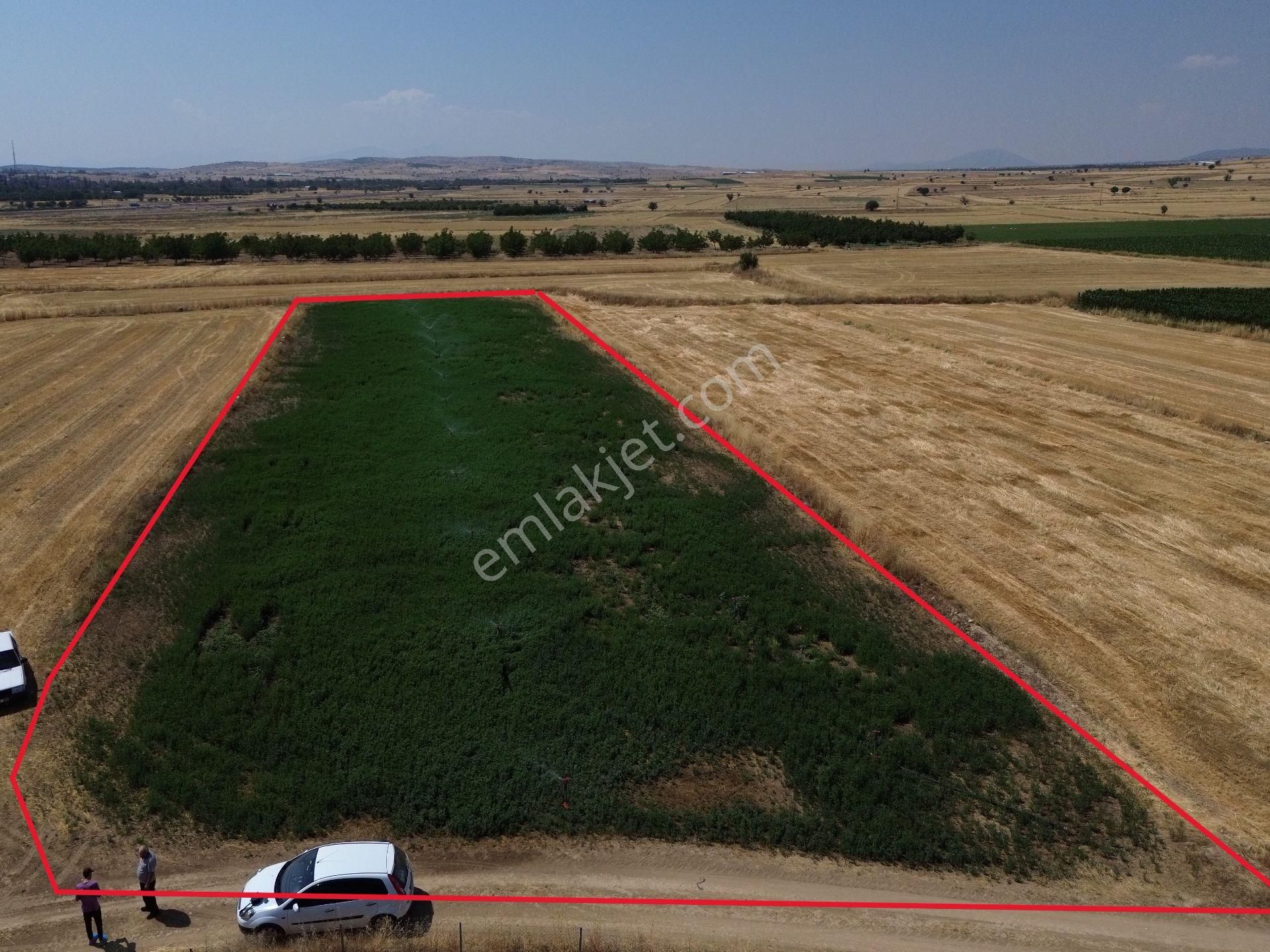 Antalya Korkuteli Yeletende Sulak 4.391 M2 Bahçe Yapımına Uygun Sulama Suyu Mevcut Tarla - Görsel 15