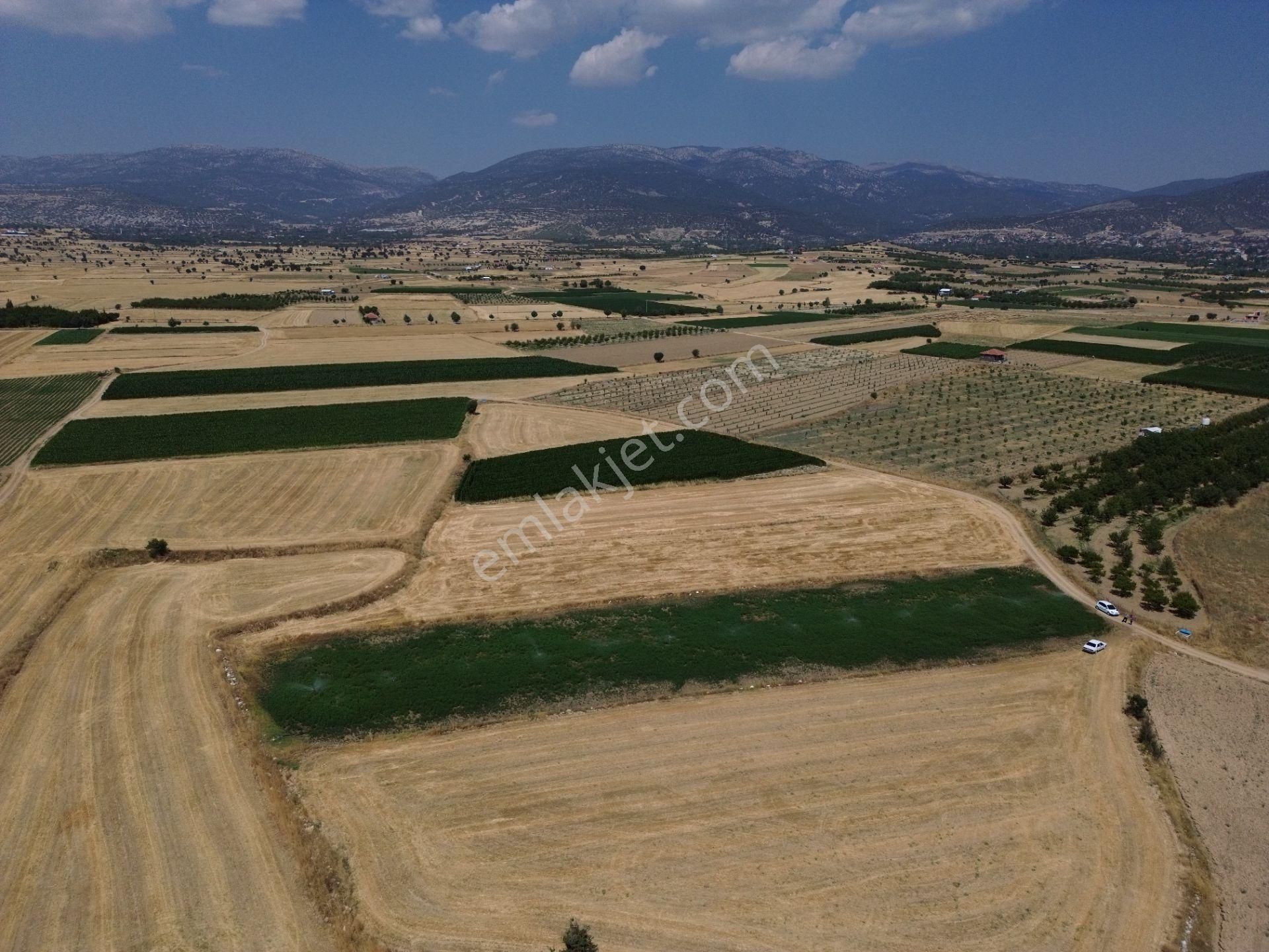 Antalya Korkuteli Yeletende Sulak 4.391 M2 Bahçe Yapımına Uygun Sulama Suyu Mevcut Tarla - Görsel 14