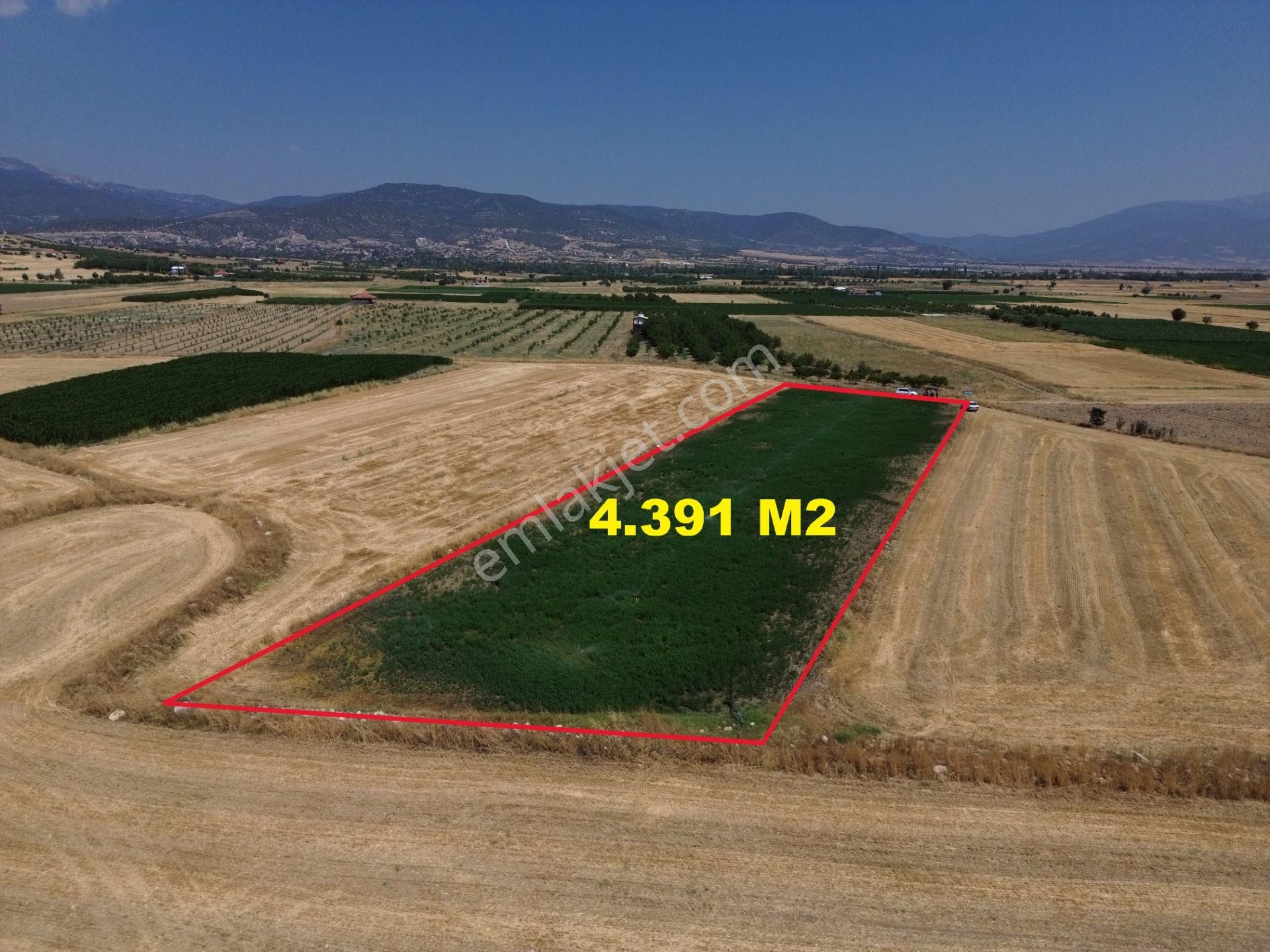 Antalya Korkuteli Yeletende Sulak 4.391 M2 Bahçe Yapımına Uygun Sulama Suyu Mevcut Tarla - Görsel 4