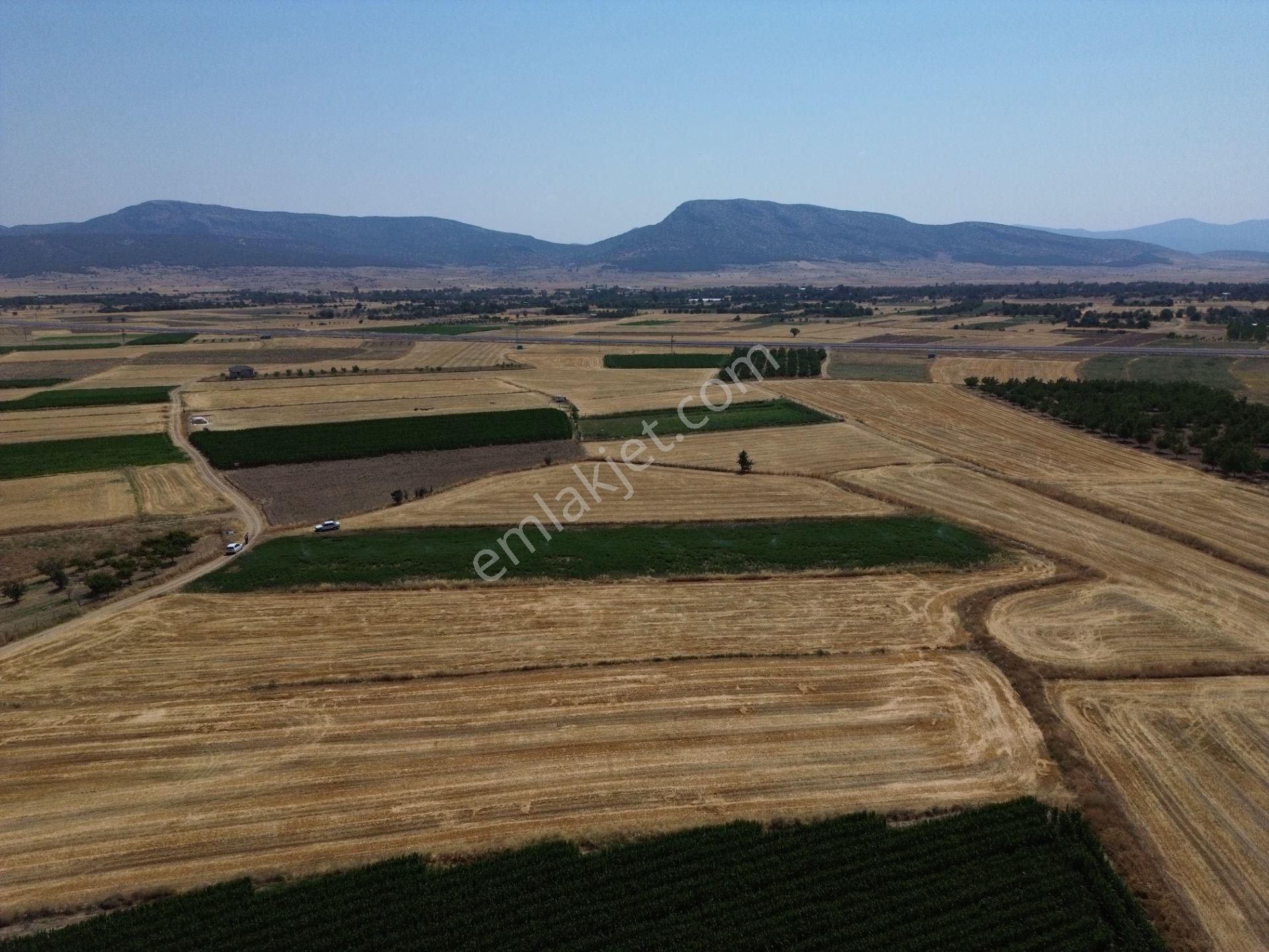 Antalya Korkuteli Yeletende Sulak 4.391 M2 Bahçe Yapımına Uygun Sulama Suyu Mevcut Tarla - Görsel 9