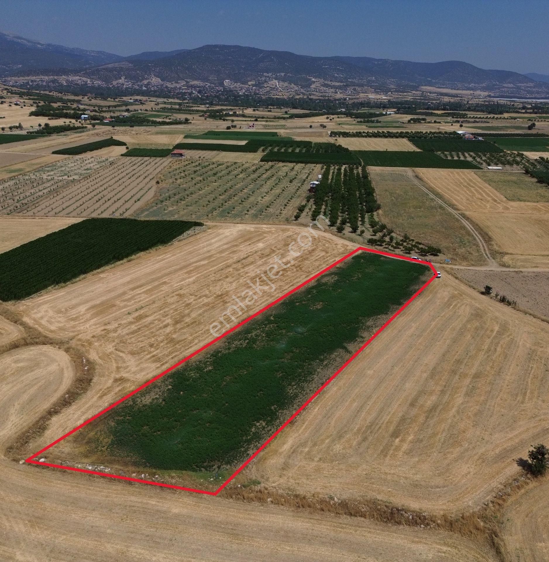 Antalya Korkuteli Yeletende Sulak 4.391 M2 Bahçe Yapımına Uygun Sulama Suyu Mevcut Tarla - Görsel 13