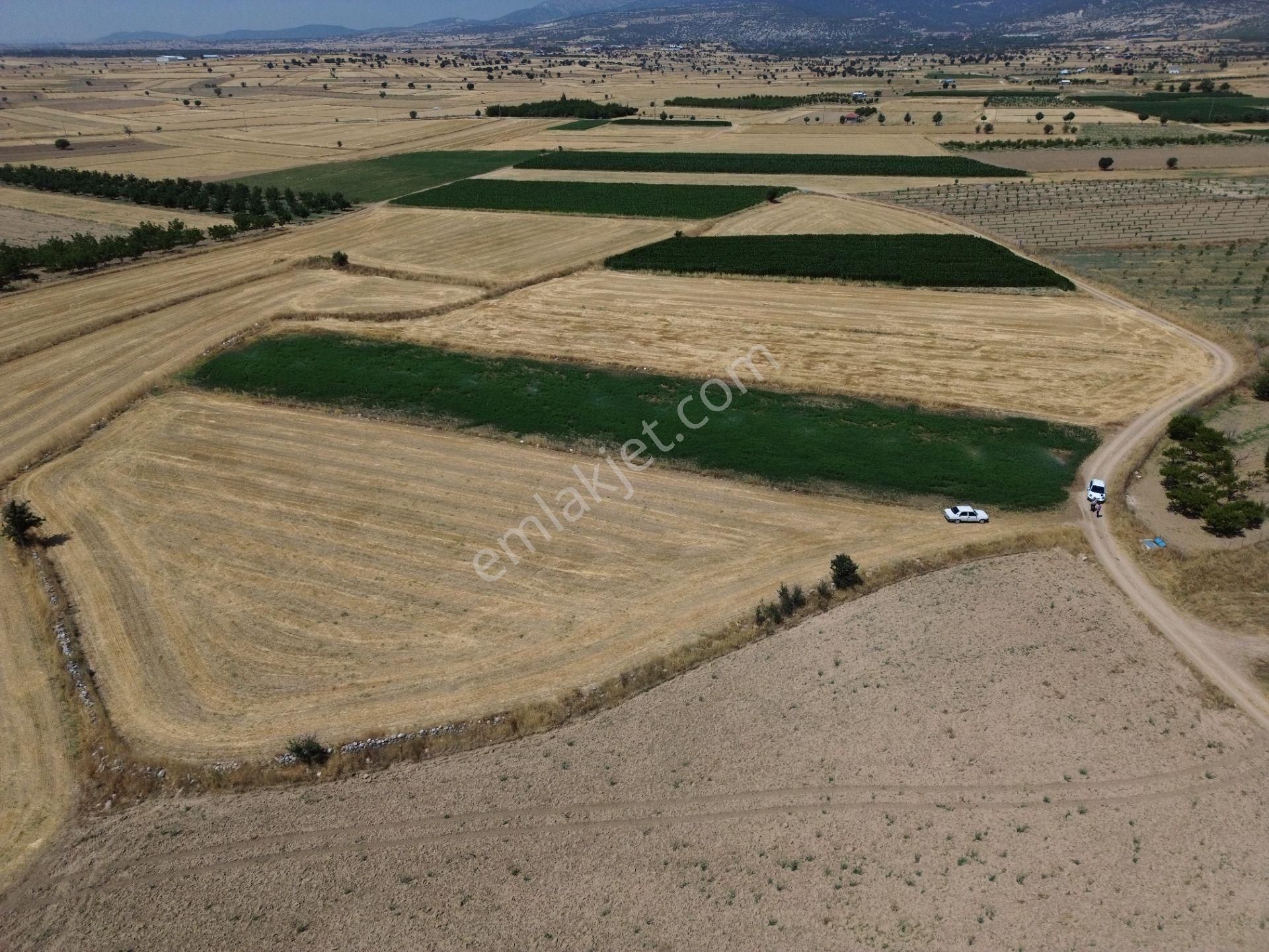 Antalya Korkuteli Yeletende Sulak 4.391 M2 Bahçe Yapımına Uygun Sulama Suyu Mevcut Tarla - Görsel 11
