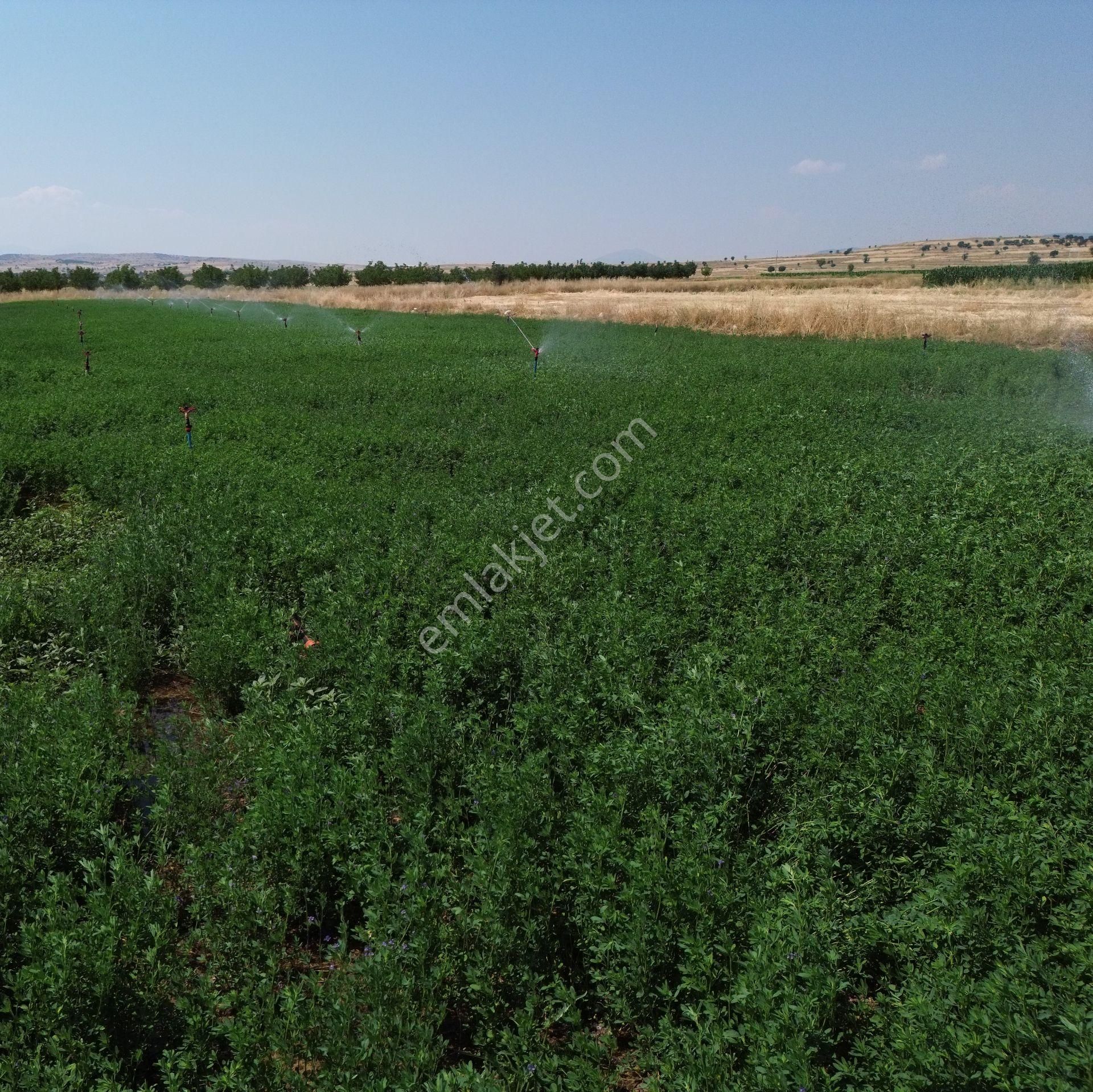 Antalya Korkuteli Yeletende Sulak 4.391 M2 Bahçe Yapımına Uygun Sulama Suyu Mevcut Tarla