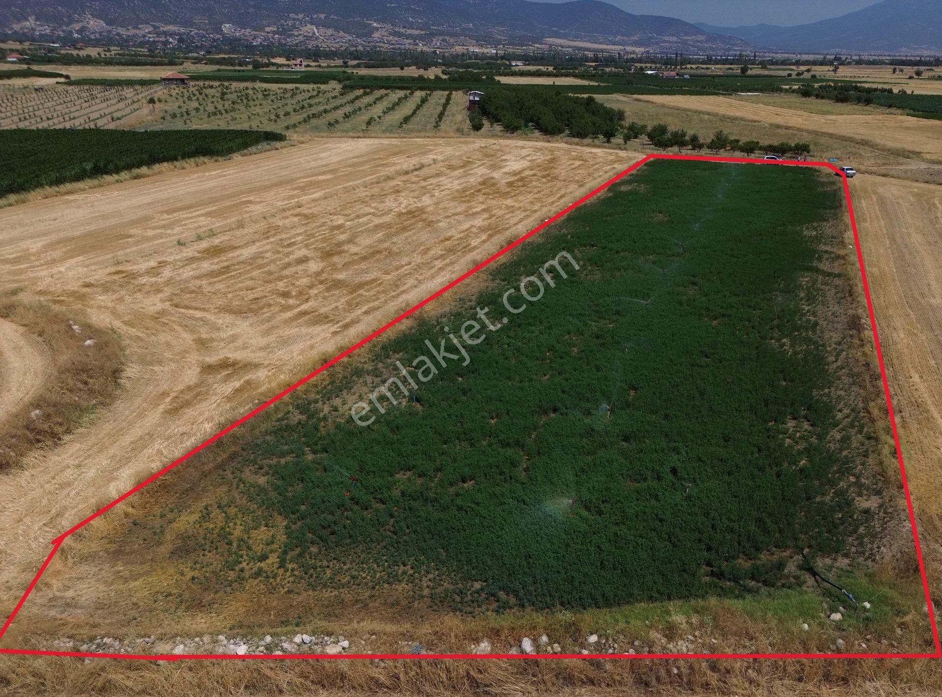 Antalya Korkuteli Yeletende Sulak 4.391 M2 Bahçe Yapımına Uygun Sulama Suyu Mevcut Tarla - Görsel 12