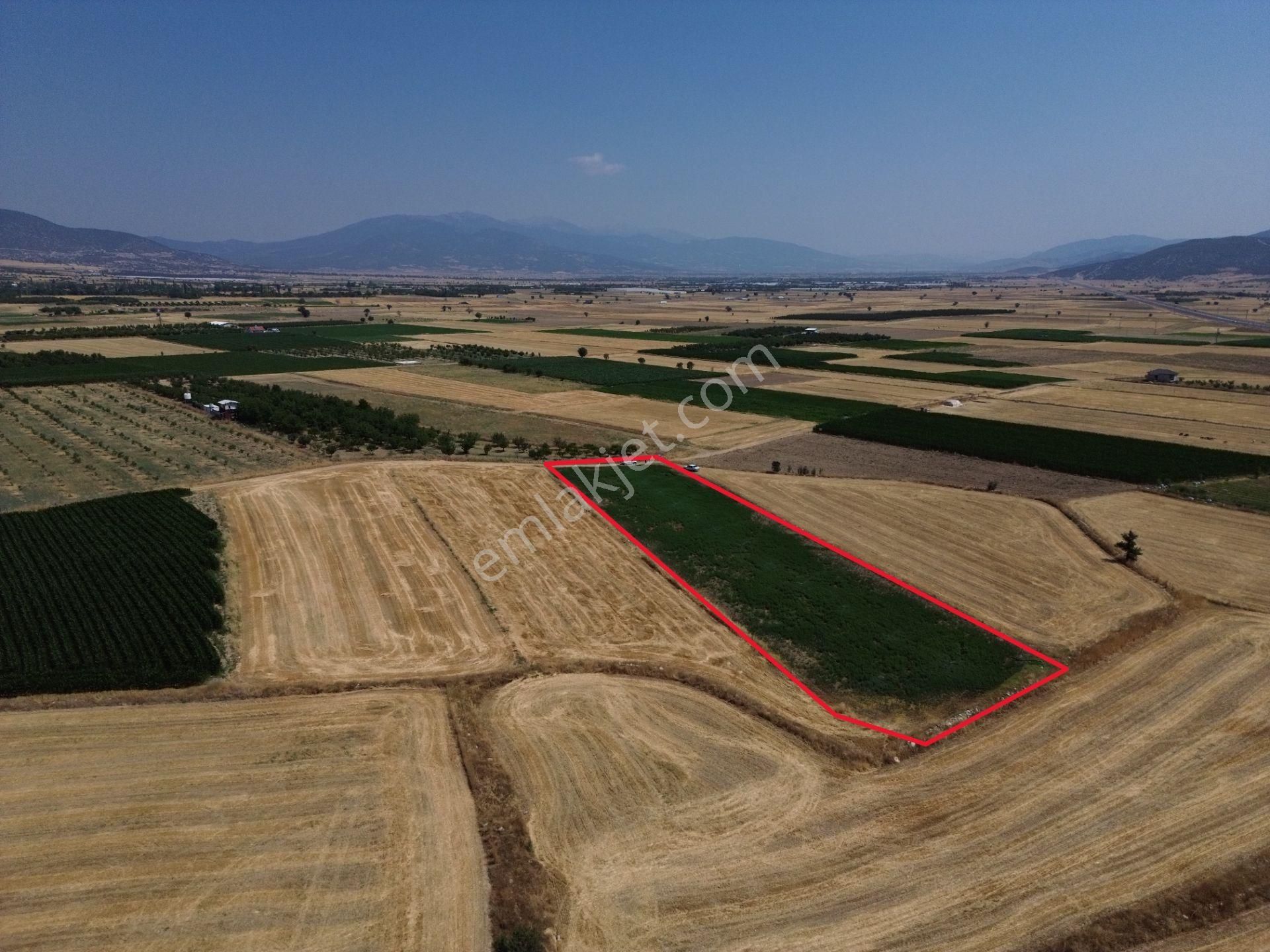 Antalya Korkuteli Yeletende Sulak 4.391 M2 Bahçe Yapımına Uygun Sulama Suyu Mevcut Tarla - Görsel 7