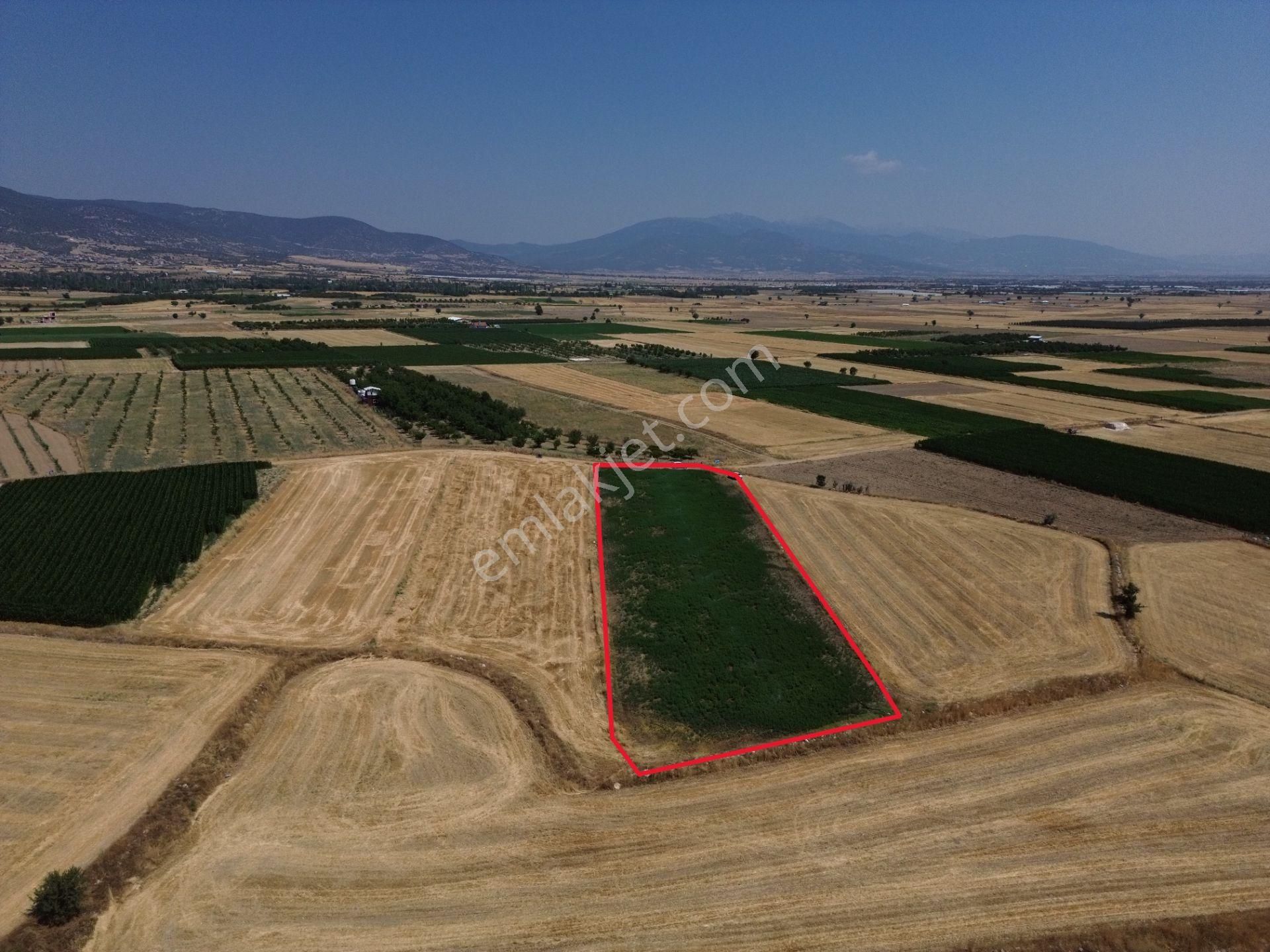 Antalya Korkuteli Yeletende Sulak 4.391 M2 Bahçe Yapımına Uygun Sulama Suyu Mevcut Tarla - Görsel 6