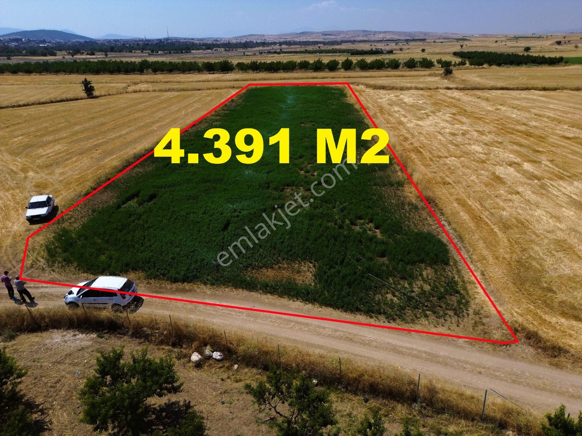 Antalya Korkuteli Yeletende Sulak 4.391 M2 Bahçe Yapımına Uygun Sulama Suyu Mevcut Tarla - Görsel 3