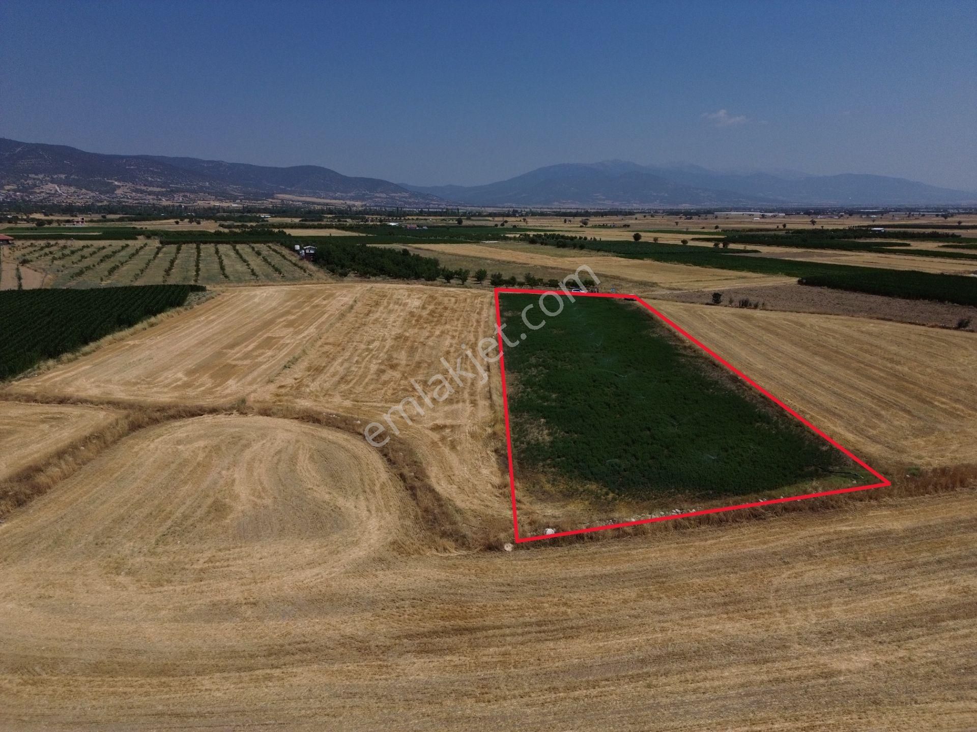 Antalya Korkuteli Yeletende Sulak 4.391 M2 Bahçe Yapımına Uygun Sulama Suyu Mevcut Tarla - Görsel 5