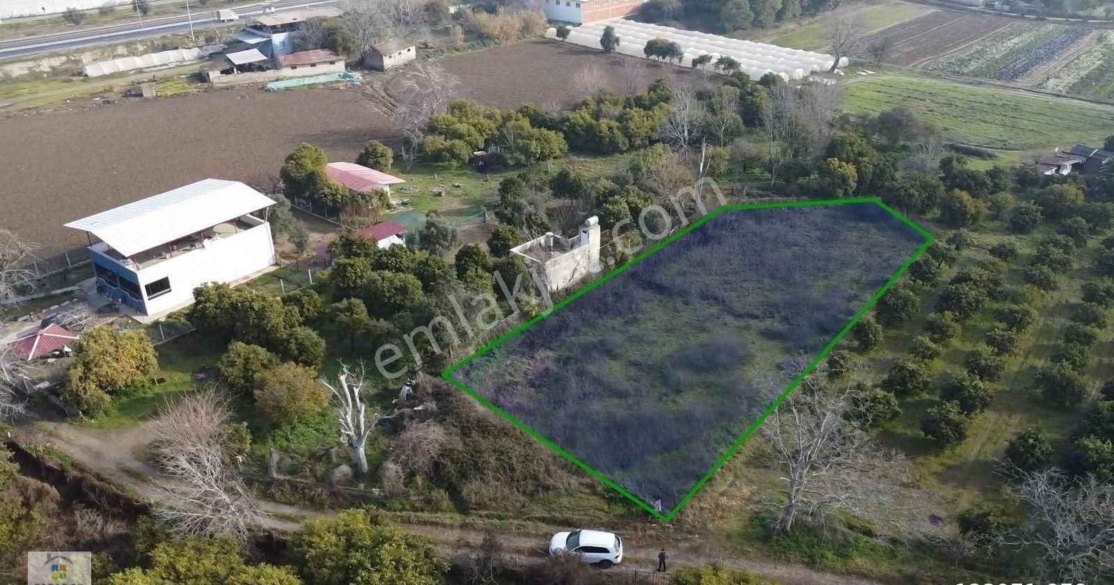 Aydın Nazilli İsabeyli Mahallesinde Satılık 1406 M² Bahçe