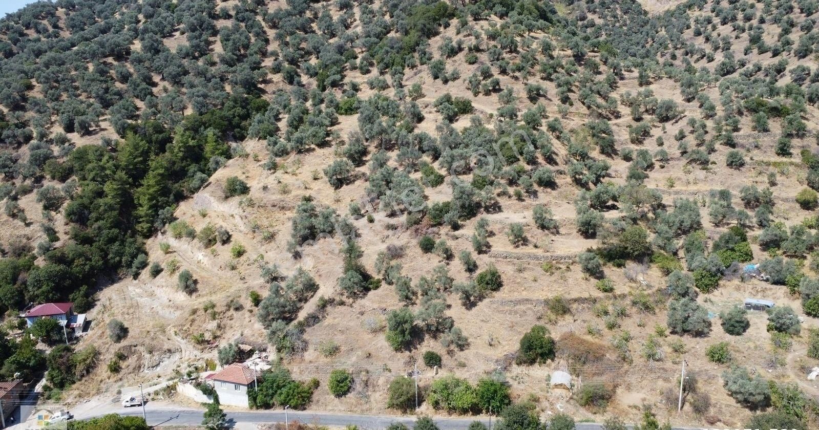 Aydın Sultanhisar Kılavuzlar Mahallesinde Satılık 8902 M² Arsa