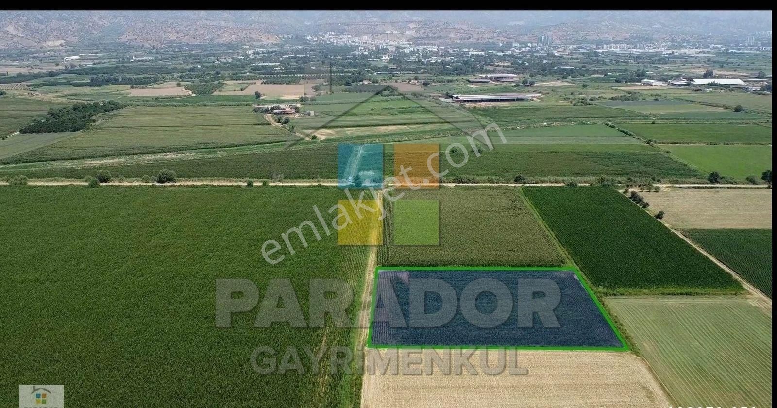 Aydın Nazilli İsabeyli Mahallesinde Satılık 5372 M² Tarla