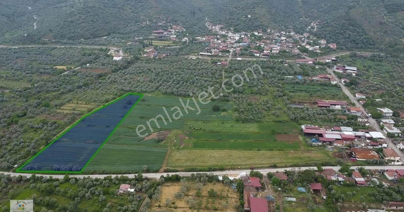 Aydın Bozdoğan Yaka Mahallesinde Satılık 10000 M² Köyiçi İmarlı Arsa