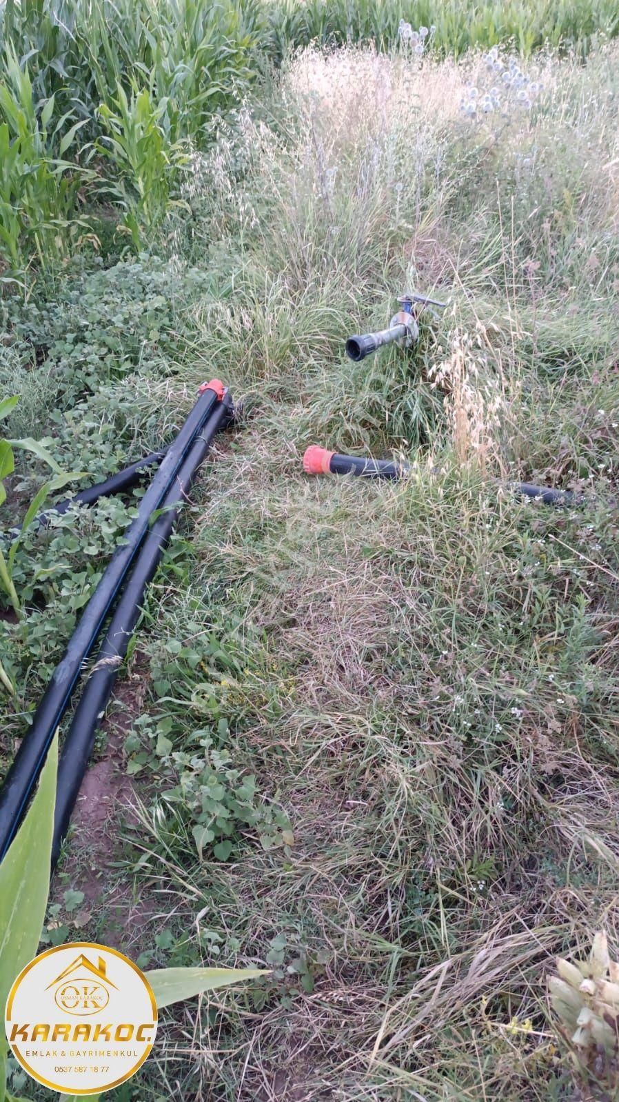 Karakoç Gayrimenkul Meram Güneyderede Satılık 1615 M2 Kurulu Düzen Bahçe - Görsel 2