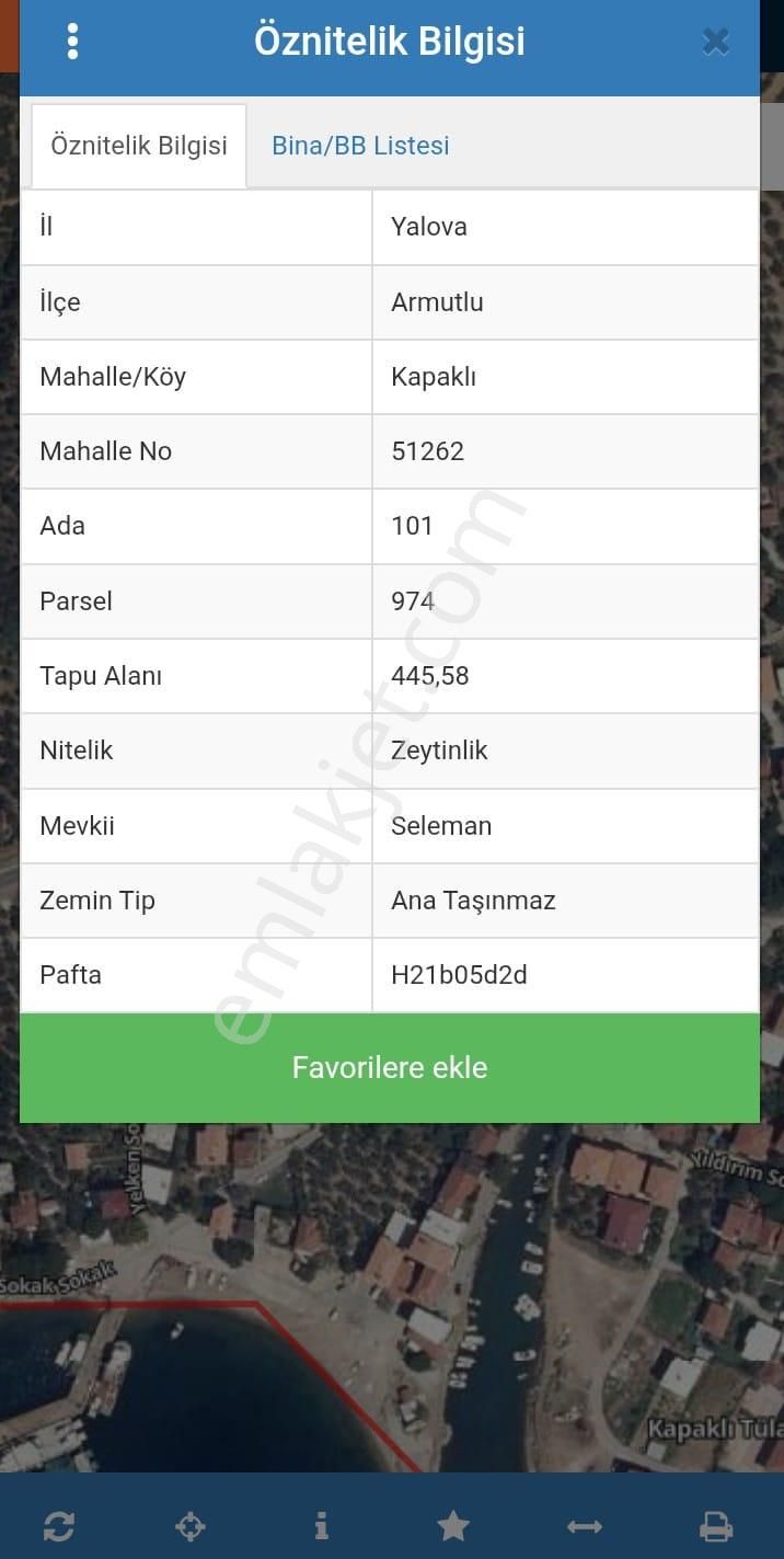 Kapaklı Satılık Zeytinlik