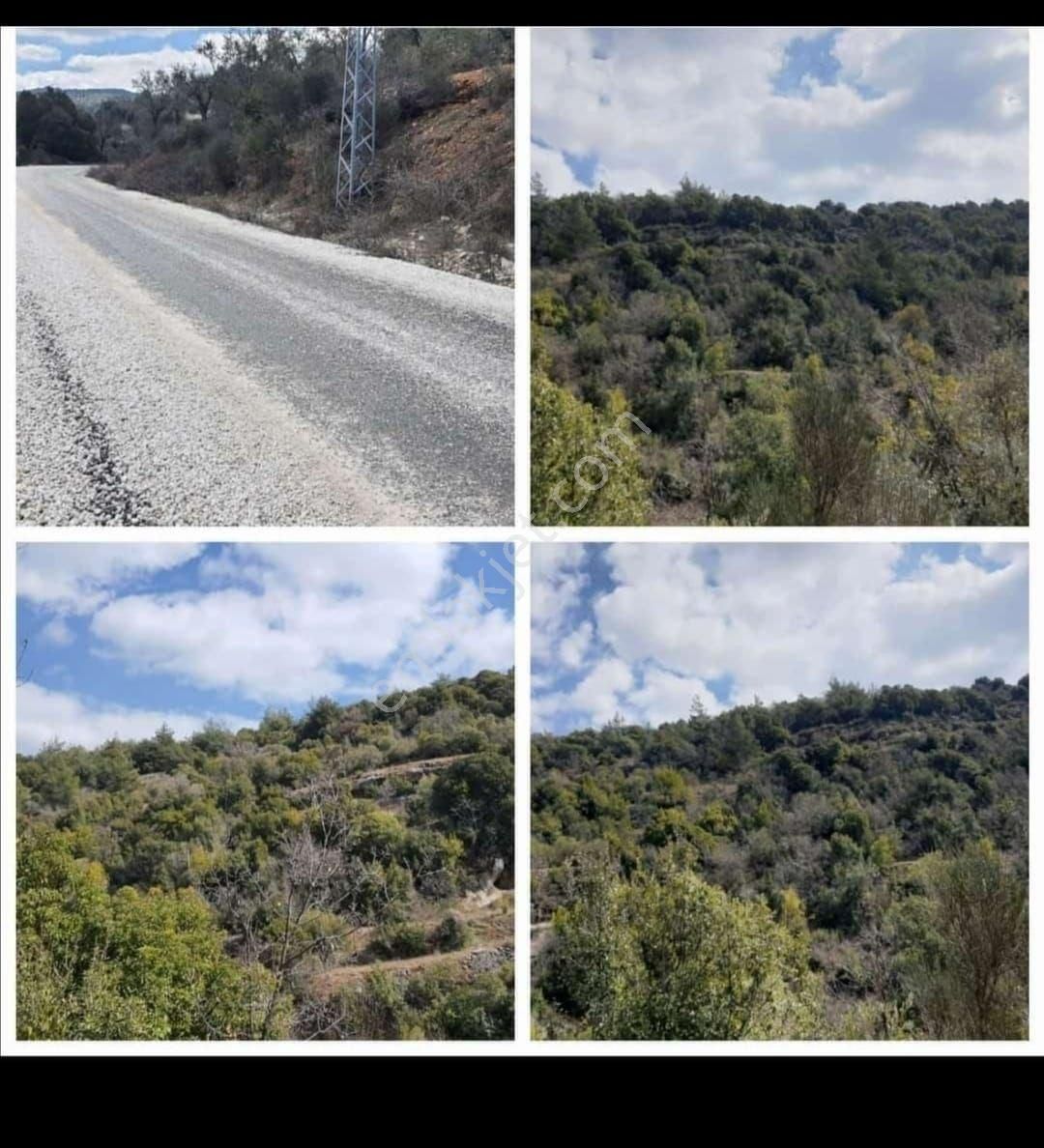 Yok Böyle Fiyat