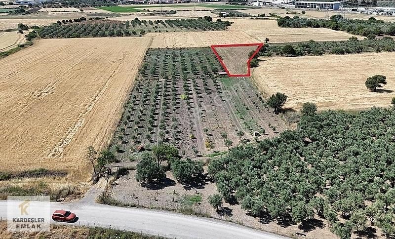Kardeşler Emlak'tan Şehitkemal'de 2600m2 Tarla