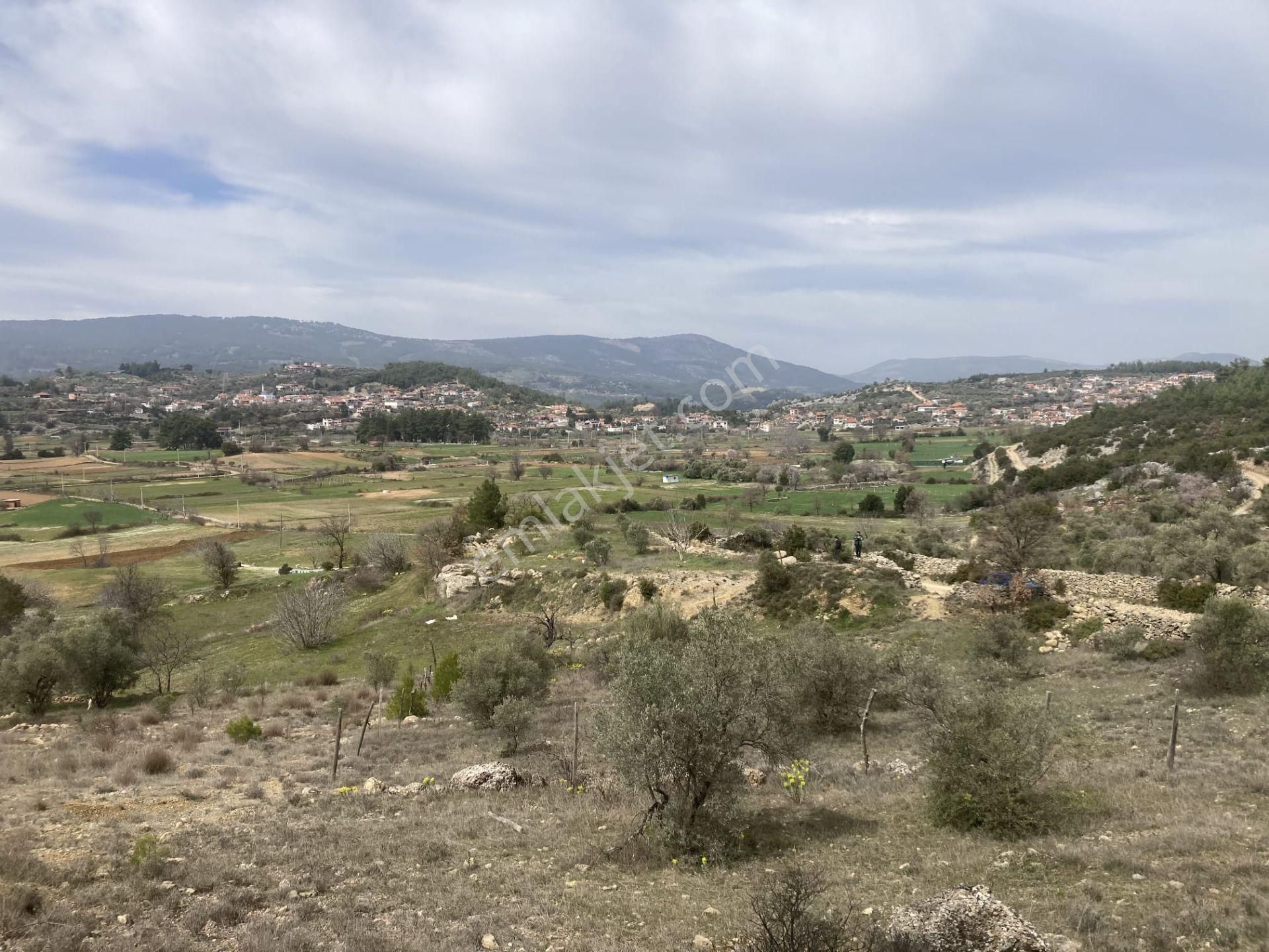 Muğla Menteşe Denizovada 2232m2 Satılık Tarla