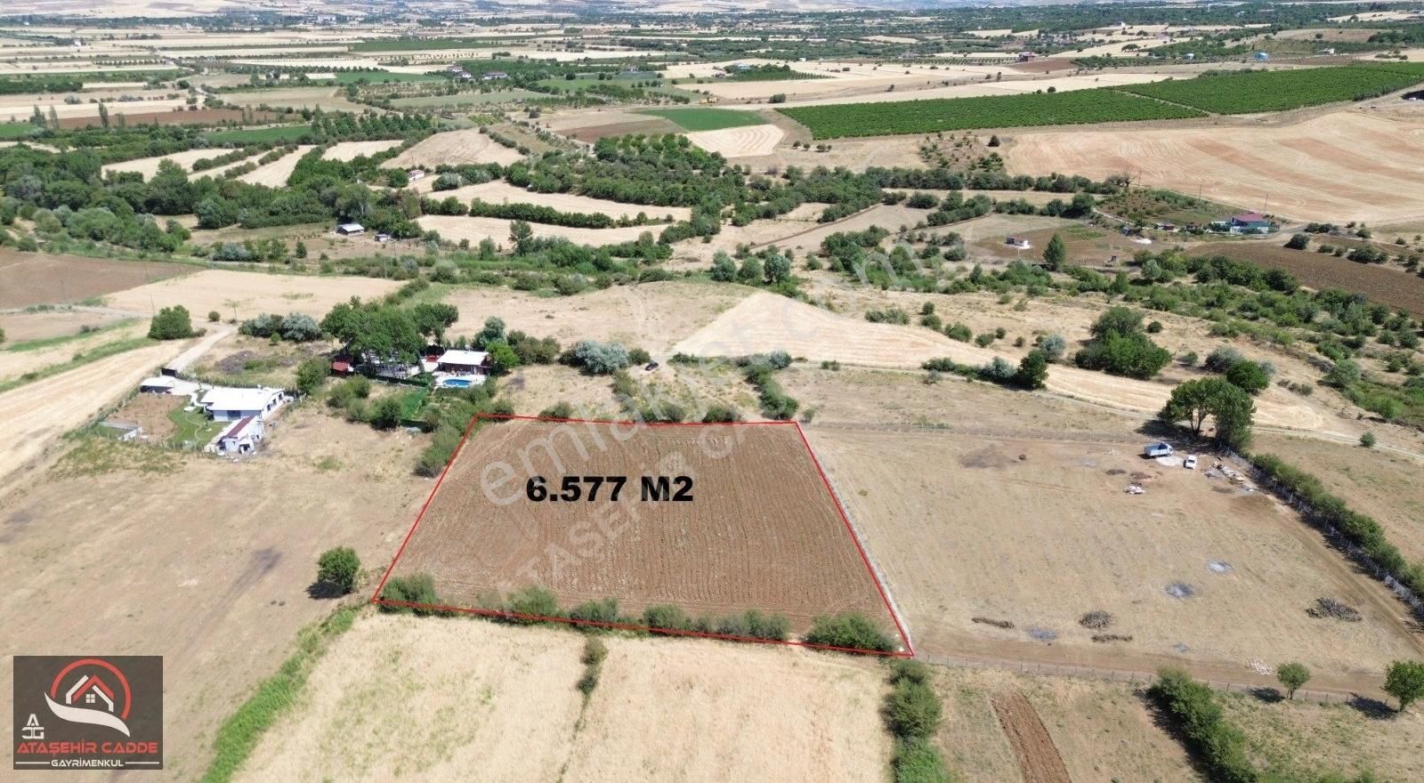 [acg] Seli' De 6.577 M2 Satılık Sulu Tarla