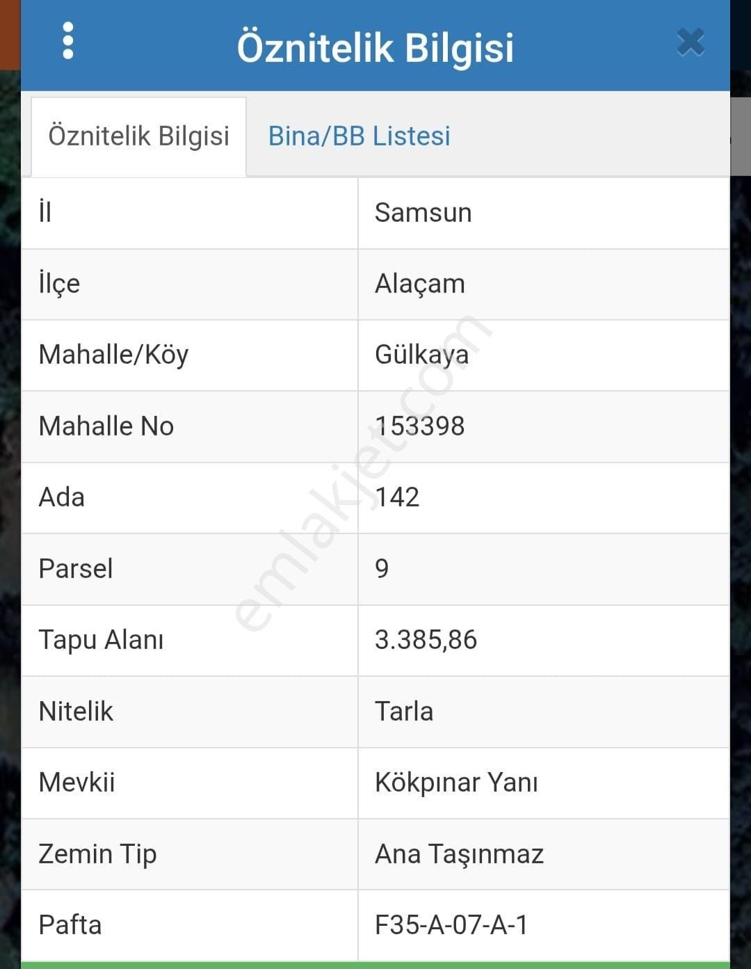 Samsun Alaçam