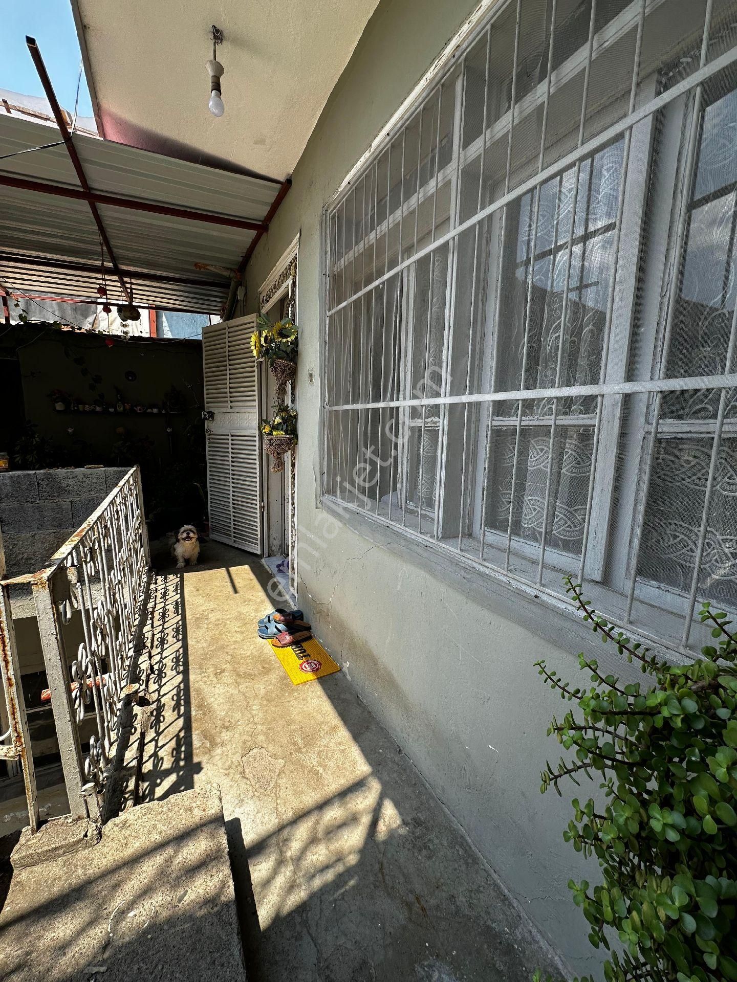 2 Katli Mustakil - Görsel 17