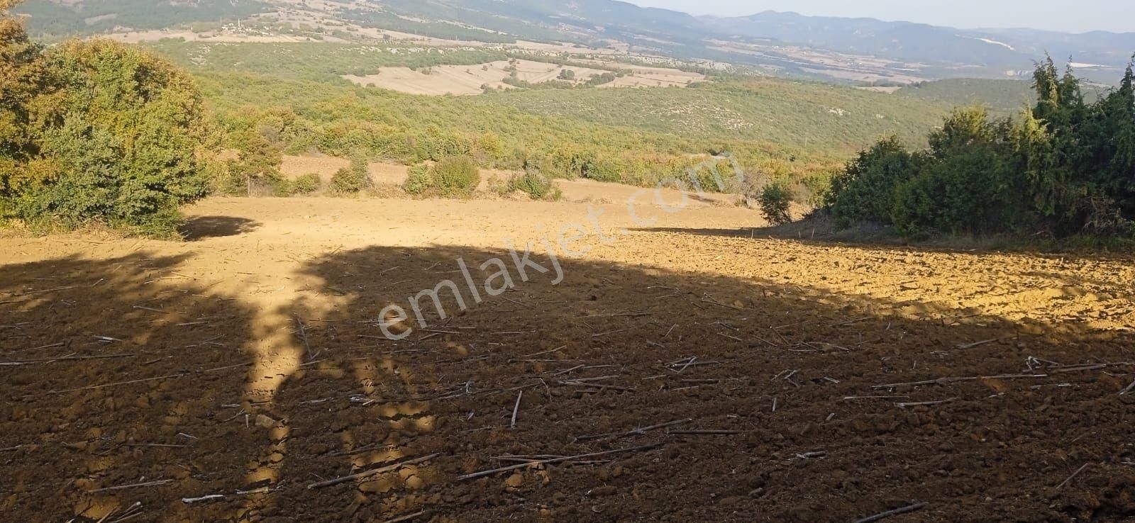 Gölpazarında Yatırımlık Arsa