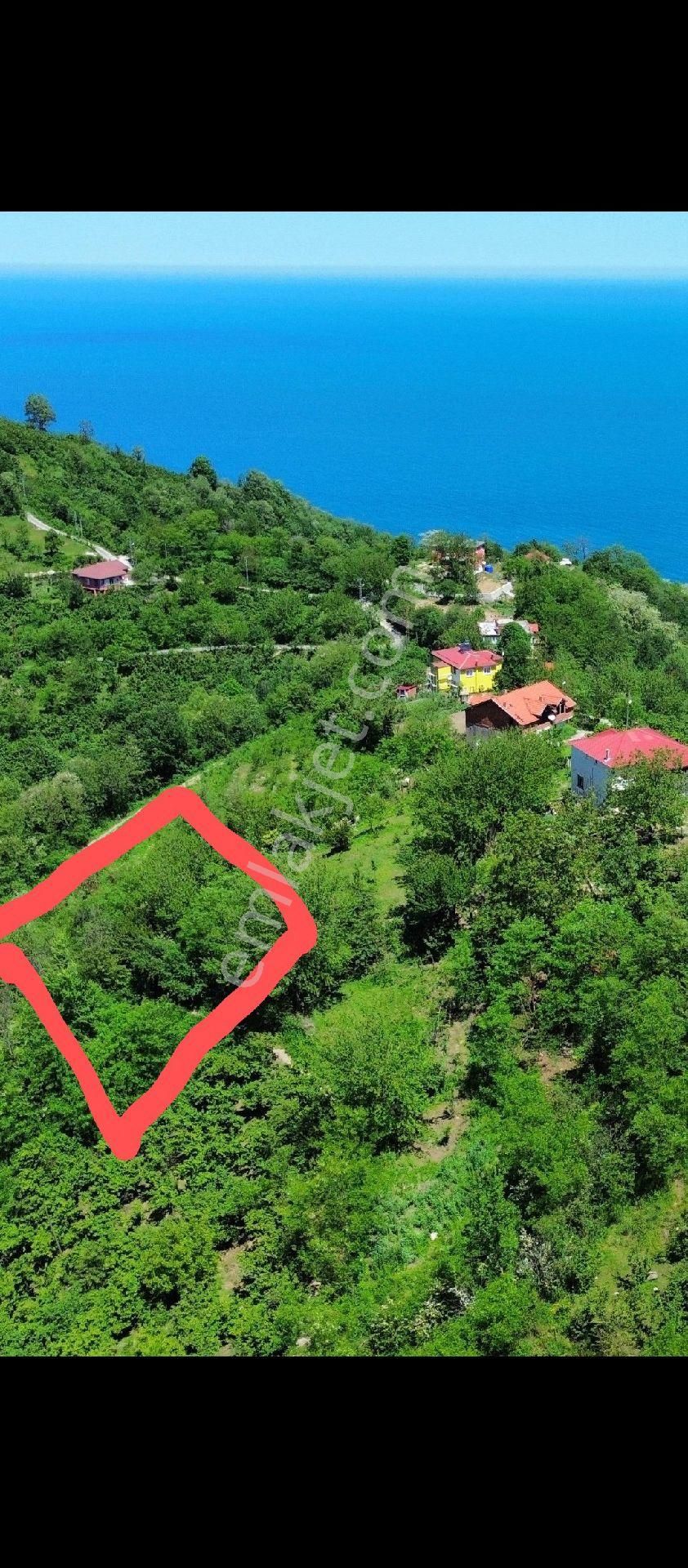Perşembe Ramazan Mahallesinde Satılık İmarlı Arazi