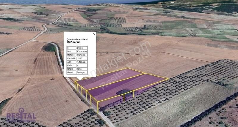 Çamlıca Karacabey Yatırımlık Tarla Teknosab'a Yakın