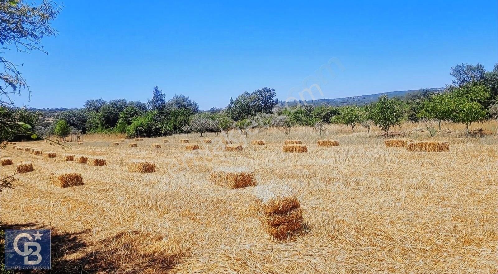 Akkaya (dirgeme) Yaylası'nda Doğanın İçinde Yatırımlık Tarla