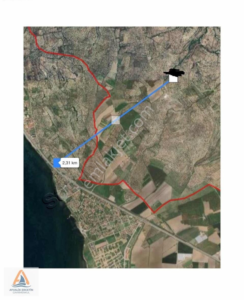 Ayvalıkta Denize 2.5 Km 52 Ağaç Elektrik Suya Yakın Zeytinlik