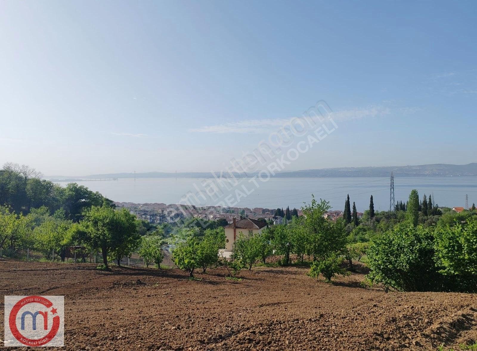 Master Realtor Ulaşlı Merkezi Konum Villa İmarlı Satılık Arsa - Görsel 2