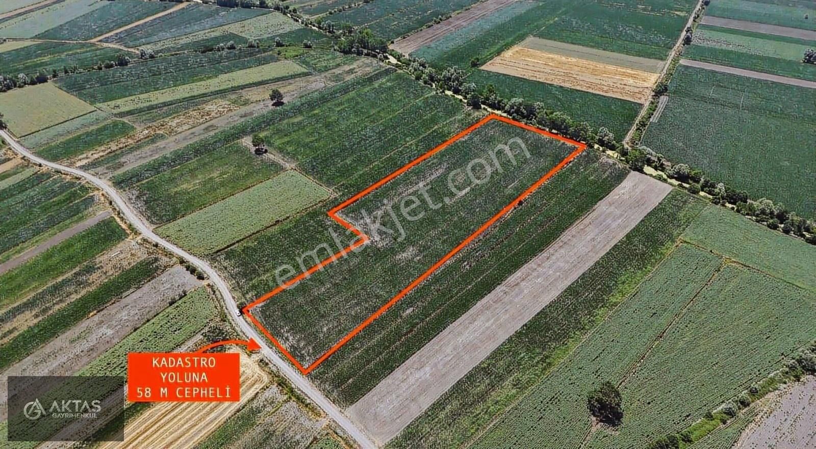 Sakarya Söğütlü Cami Cedit Mah.24.240m2 Satılık Yatırımlık Tarla