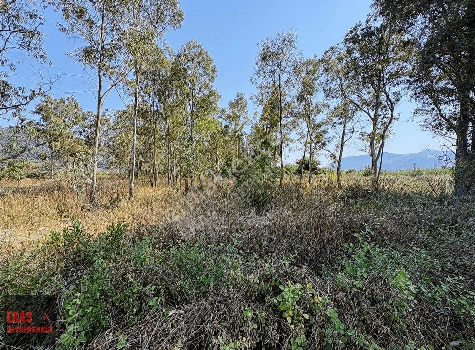 Eras Gayrimenkulden Sarıgerme Yolunda 5001m2 Tarla Vasıflı Arazi