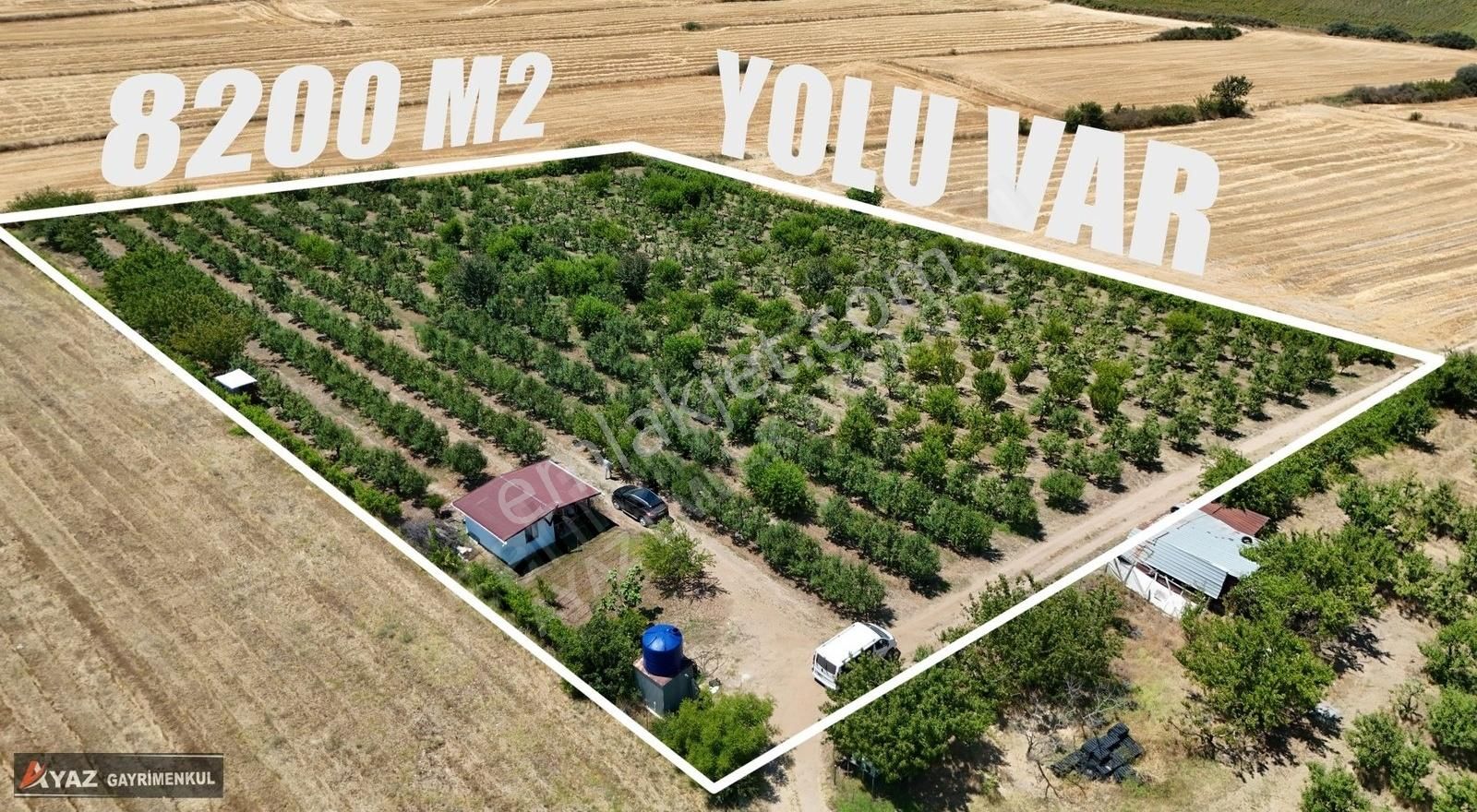Edirne Havsa Kuzucu Köyünde Acil Satılık Meyve Bahçesi!!!!!!