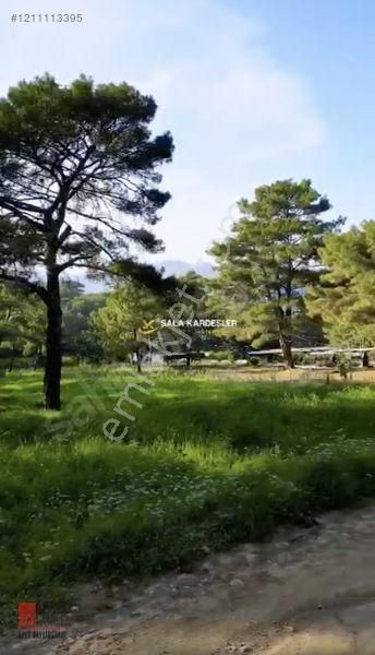 Kumluca Adrasan'da Denize 150 M Satılık Tarla - Bungalow'a Uygun - Görsel 3