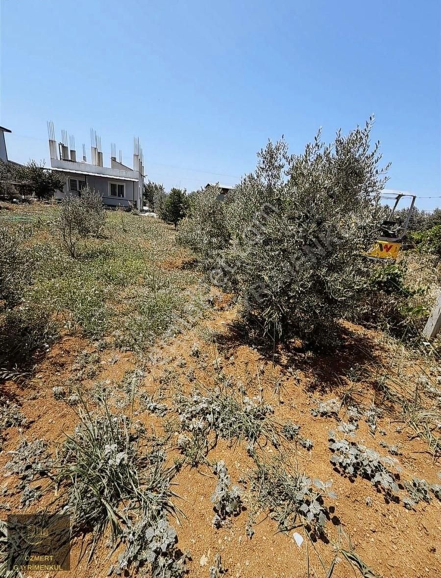 Menderes Oğlan Anasın Da 900m2 Arsa İçinde 100m2 Betonarme Ev - Görsel 6