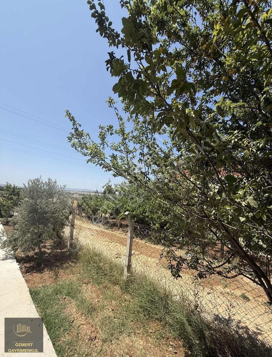 Menderes Oğlan Anasın Da 900m2 Arsa İçinde 100m2 Betonarme Ev - Görsel 5