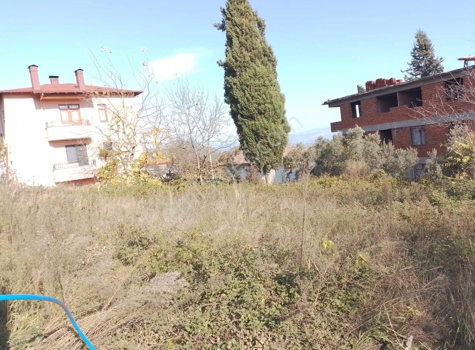 Likite Emlak'tan Subaşı Merkezde İmarlı Deniz Manzaralı Arsa