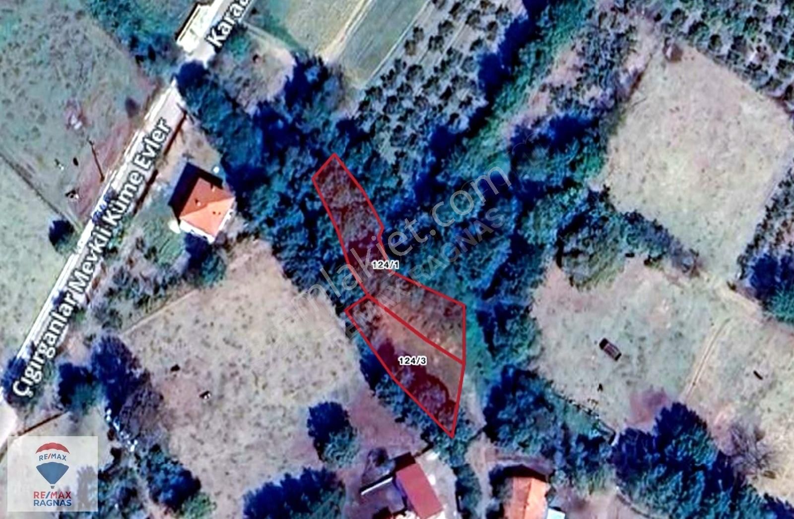 Kandıra Döngelli Köy İçi Konut Arsası 813 M2 Fırsat