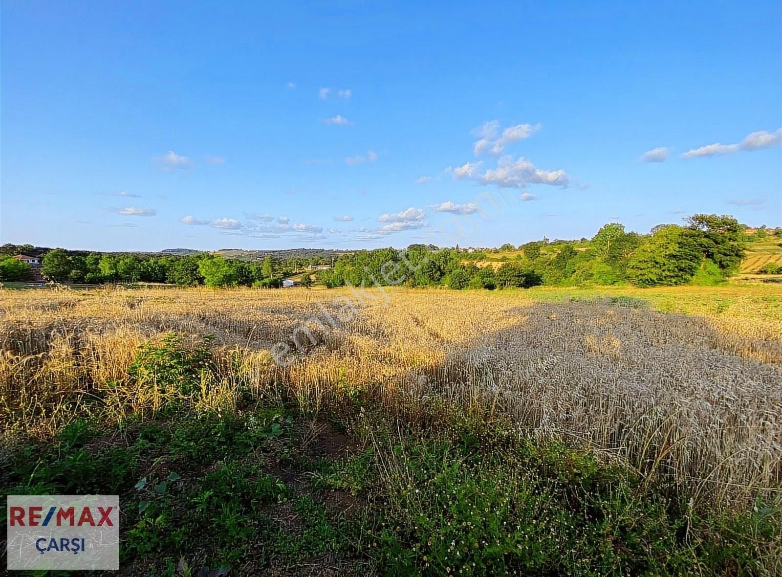Remax Çarşı'dan Doğa İçinde 3007m² Fırsat Tarla