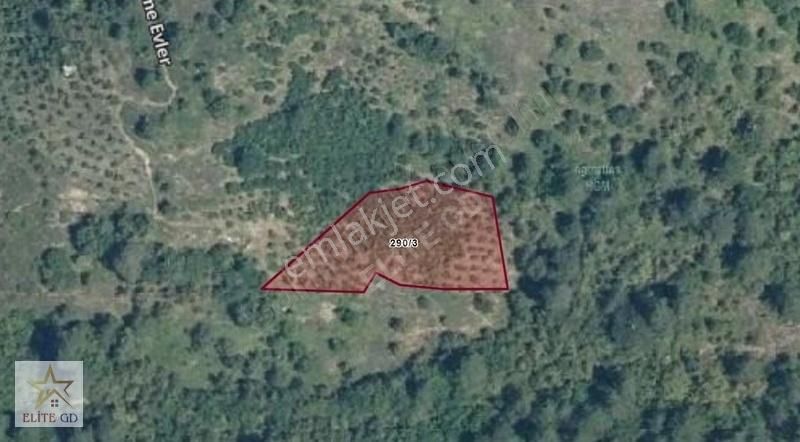 Elite Gd & 1.400 M2 Düzce Yığılca Hacılarda Uygun Tarla Fırsat