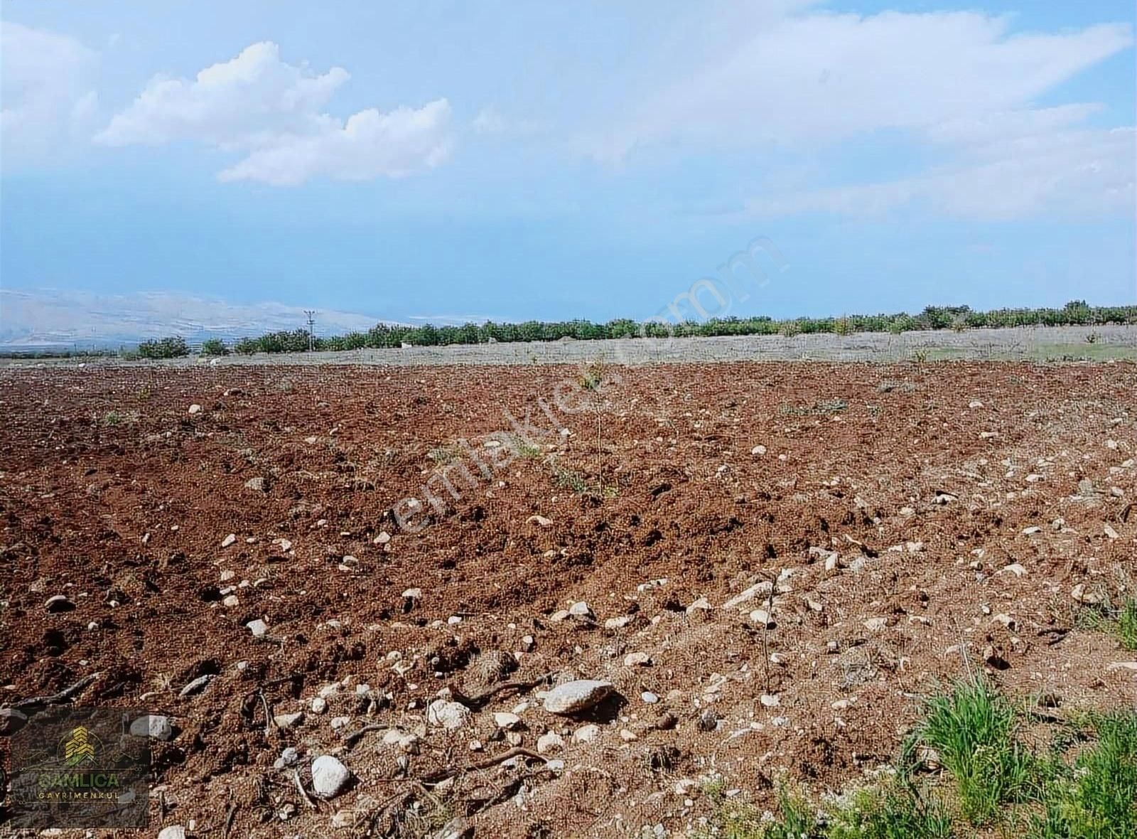 Çamlıca Gayrimenkul'den Akçadağ Dedeköy'de Satılık Arsa