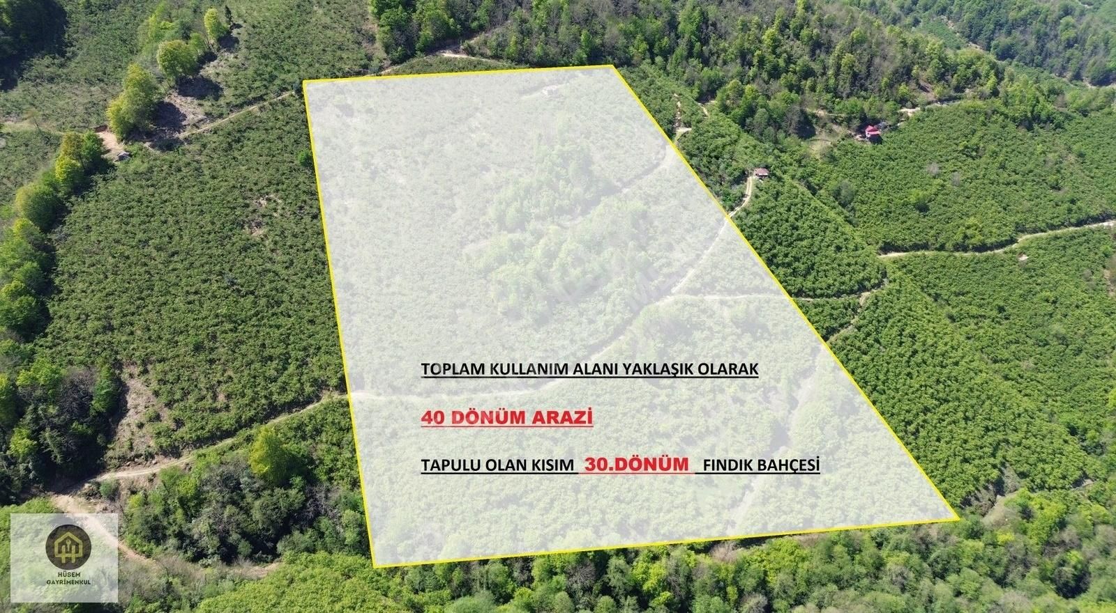 **fırsat// 40 Dönüm Kullanımlı Satılık Fındık Bahçesi