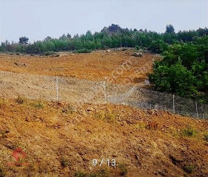 Alanya Beldibi Çaltıda 19.470 M² Verimli Satılık Tarla - Görsel 2