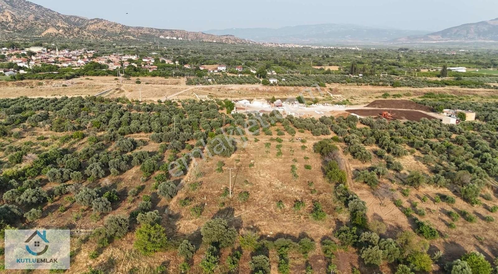 Nazilli Yalınkuyu Da Satılık Altı Dönüm İncir Bahçesi - Görsel 6