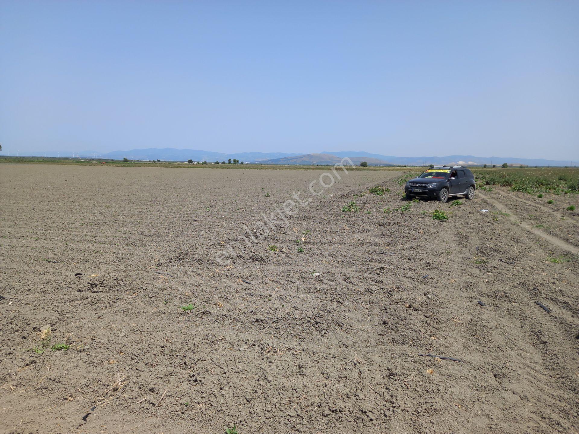 Akhisar Rahmiye Yoluna Cepheli 6.300 M2 Koop Suyu Olan Tarla 2.350.000 Tl