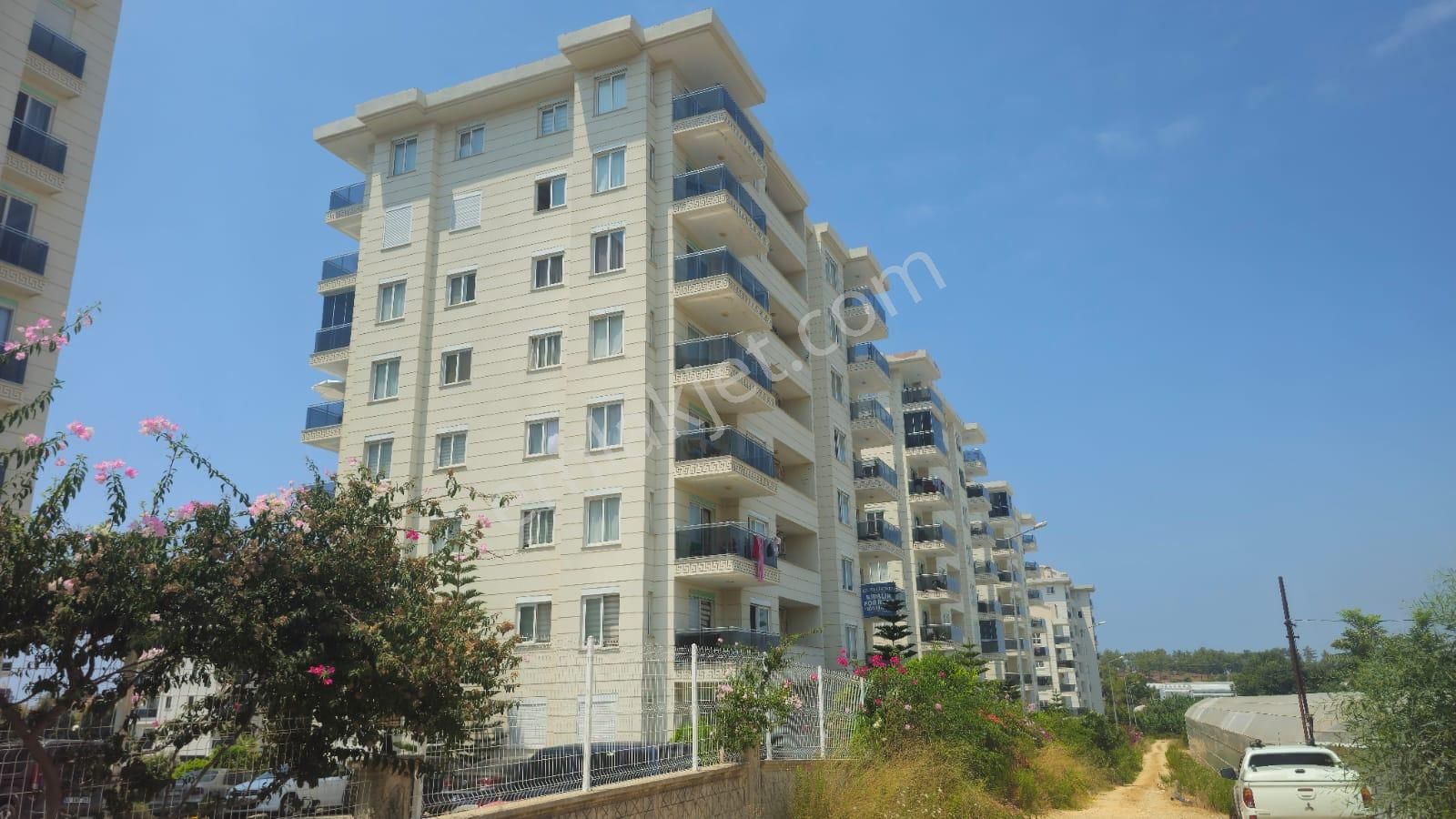 Alarahan 1+1 Kiralık Daire